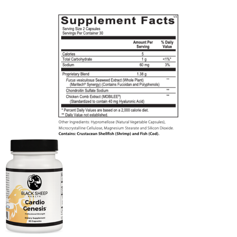 Cardiovascular & Circulation