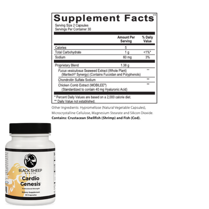 Cardiovascular & Circulation