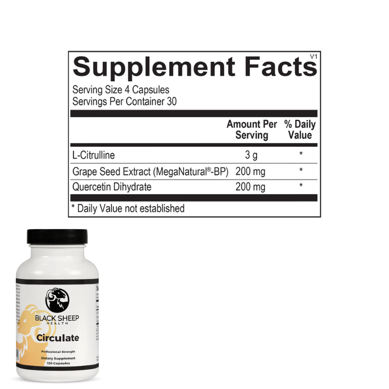 Cardiovascular & Circulation