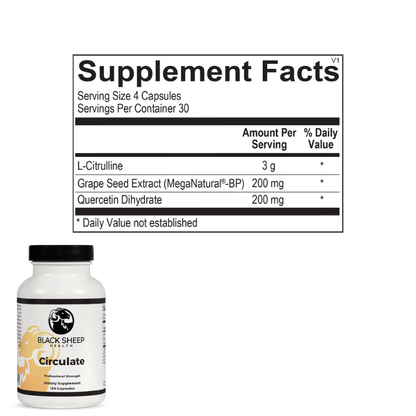 Cardiovascular & Circulation