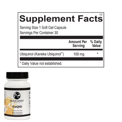 Cardiovascular & Circulation